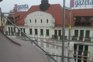 Ochrona przed gołębiami - Bydgoszcz