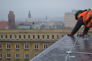 Montaż kolców na ptaki 