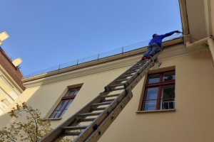 Montaż siatki zabezpieczającej - Biblioteka Miejska Bydgoszcz.jpg